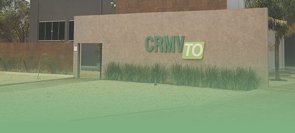 crmv comemora crescimento site copiar