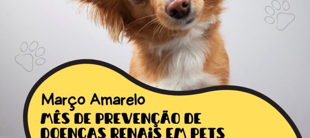 Story de instagram para pet shop banho pet amarelo e preto com foto (Post para Instagram (Quadrado))