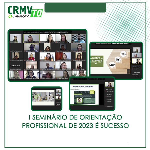 seminario de orientação profissional copiar