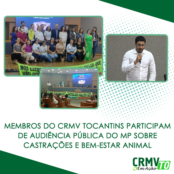 membros participam de audiência pública do mp sobre castrações e bem-estar animal copiar