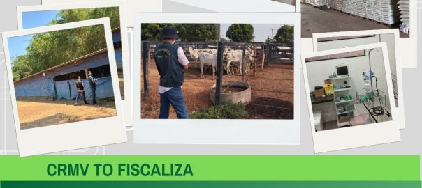 FISCALIZAÇÃO EM PSO (2)