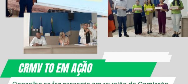 Reunião CIR médio norte Barbosa