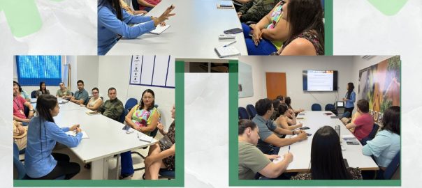 TESOUREIRO participa de reunião sobre IAAP