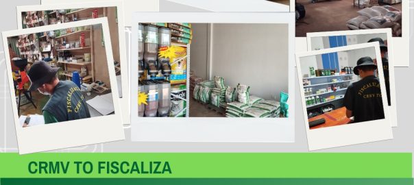 fiscalização no jalapão