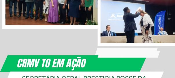 posse da reitora da Católica