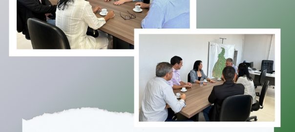 reunião na Adapec
