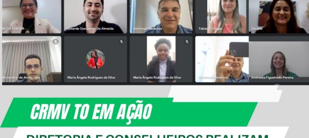 sessão plenária novembro