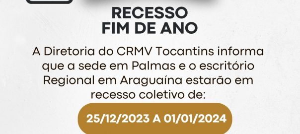 Aviso recesso fim de ano moderno branco instagram story (Post do Instagram) (1)