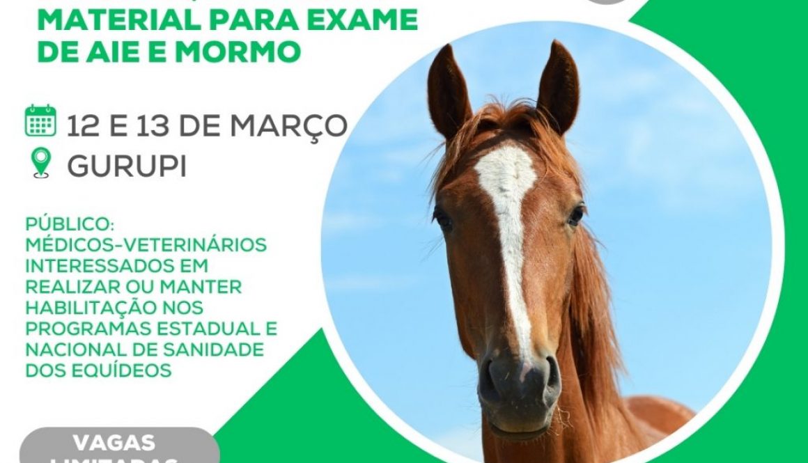 curso de resenha (1)