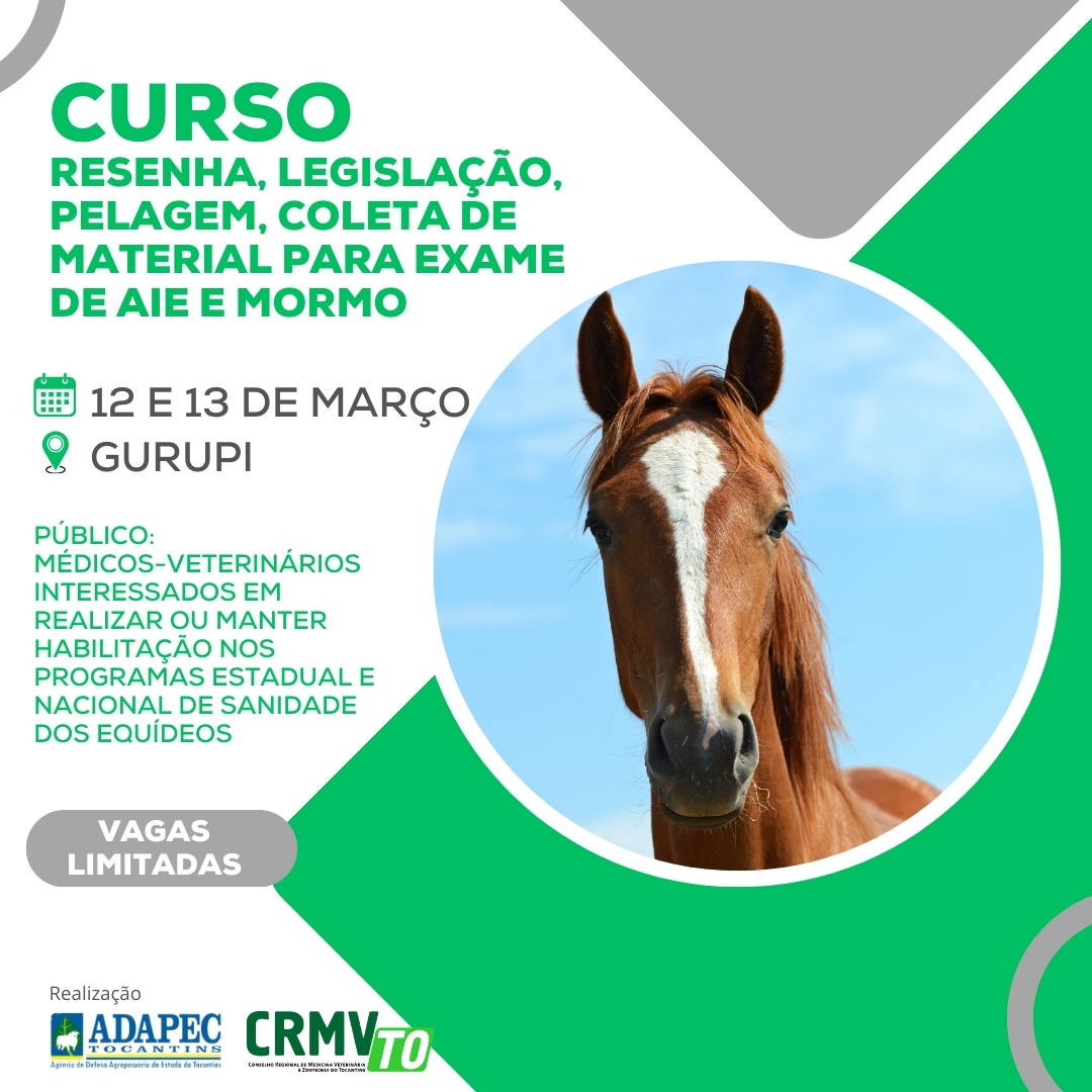 curso de resenha (1)