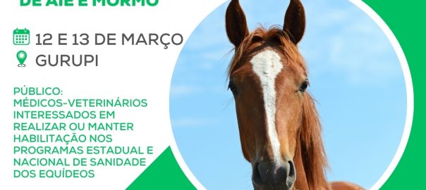 curso de resenha (2)