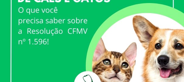 resolução 1596 castração