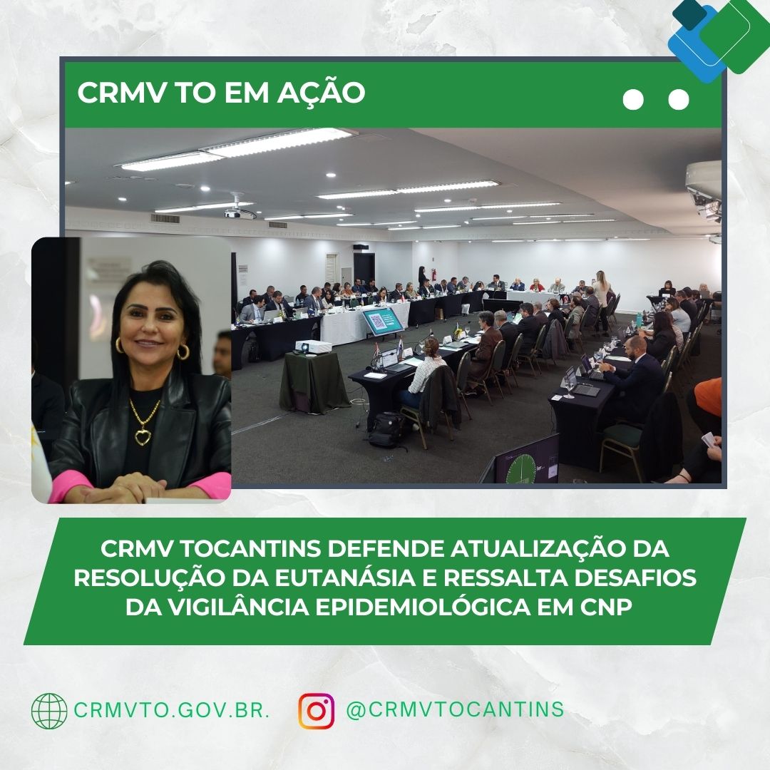 CNP em Curitiba - outubro 2024