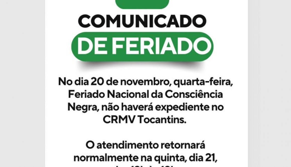 Aviso de feriado azul simples story (1)