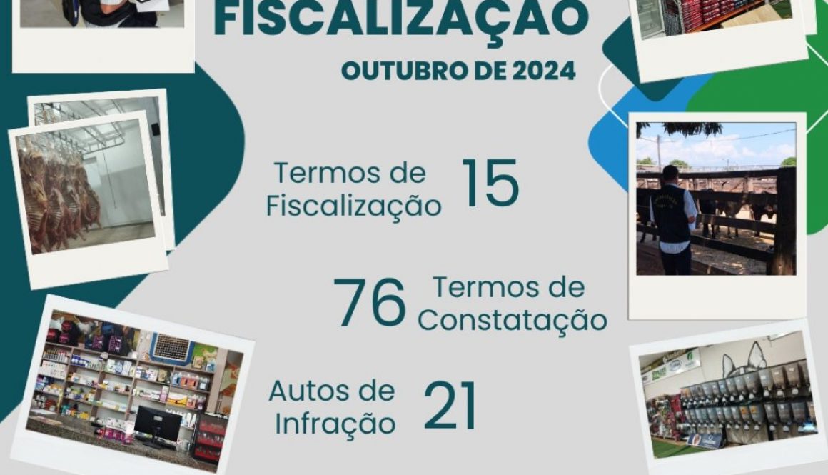Cópia de fiscalização setembro