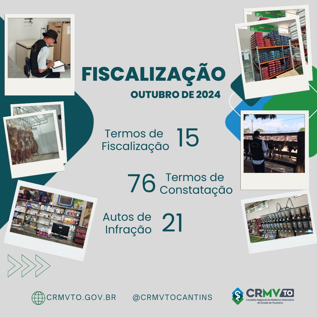 Cópia de fiscalização setembro