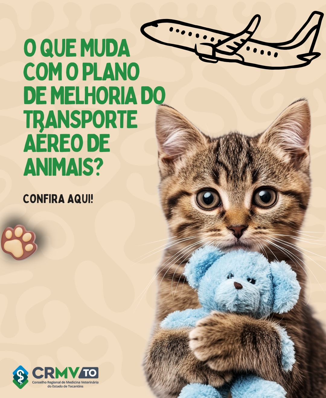 pata plano de melhoria (2)