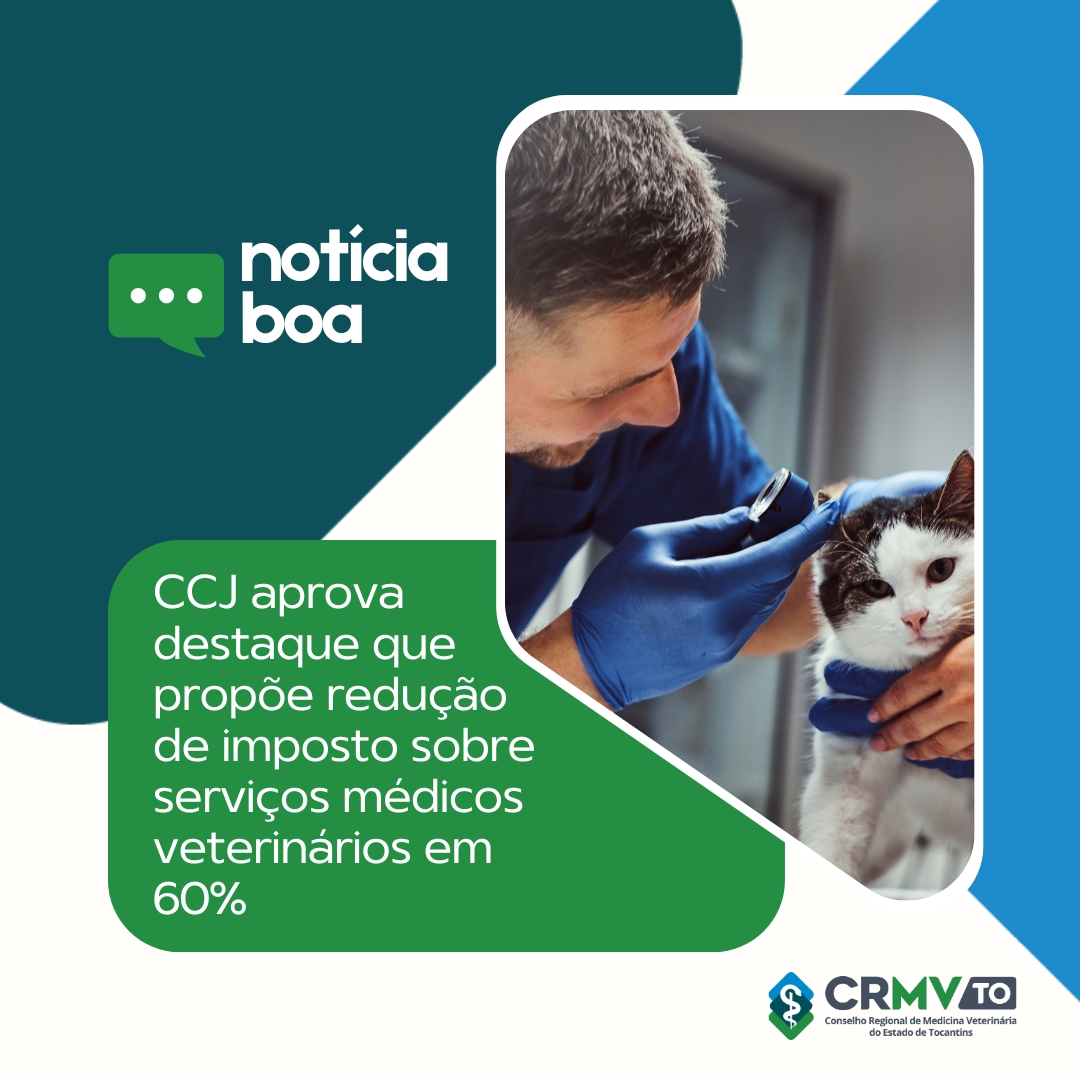Post instagram notícia corporativo profissional básico vermelho e branco