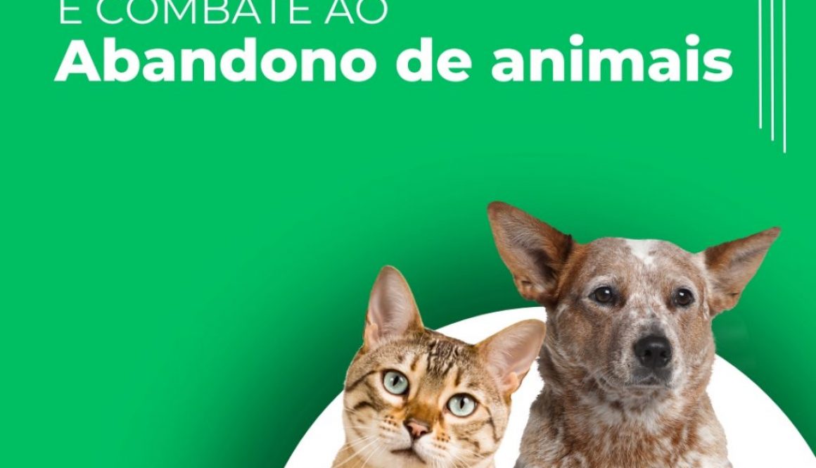 Post para instagram dia mundial dos animais de rua minimalista roxo e amarelo
