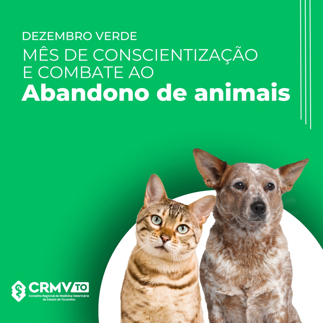 Post para instagram dia mundial dos animais de rua minimalista roxo e amarelo