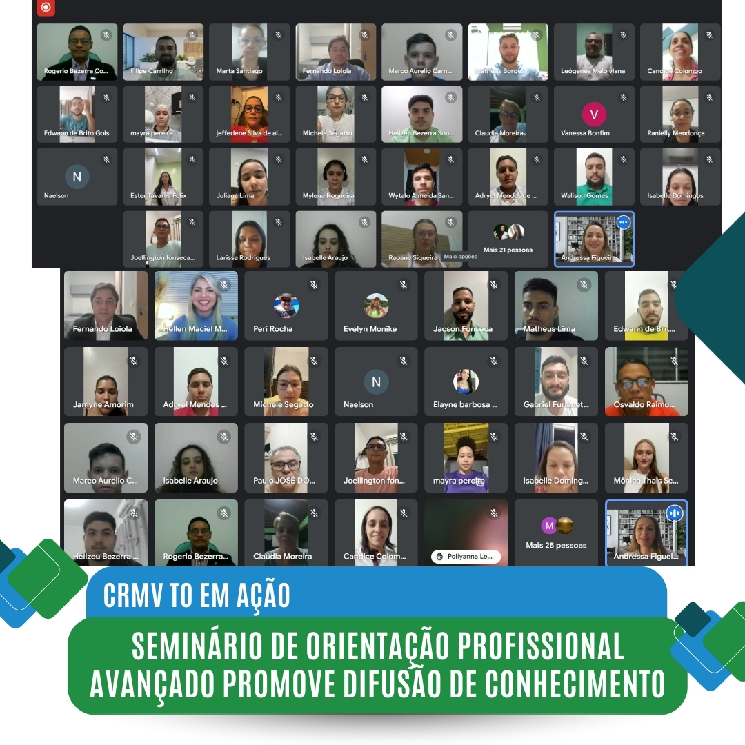 seminário de orientação profissional 05.12