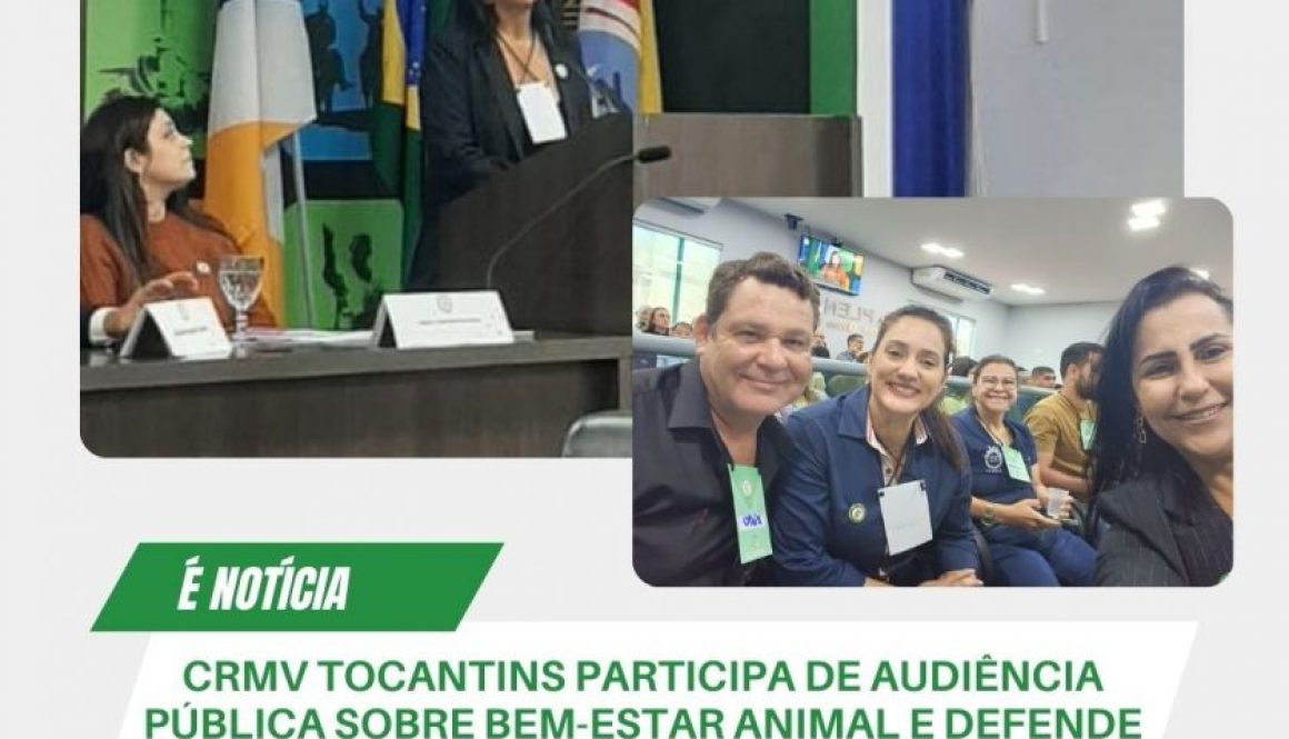 crmv participa de audiencia pública em camara de vereadores de araguaína (2)