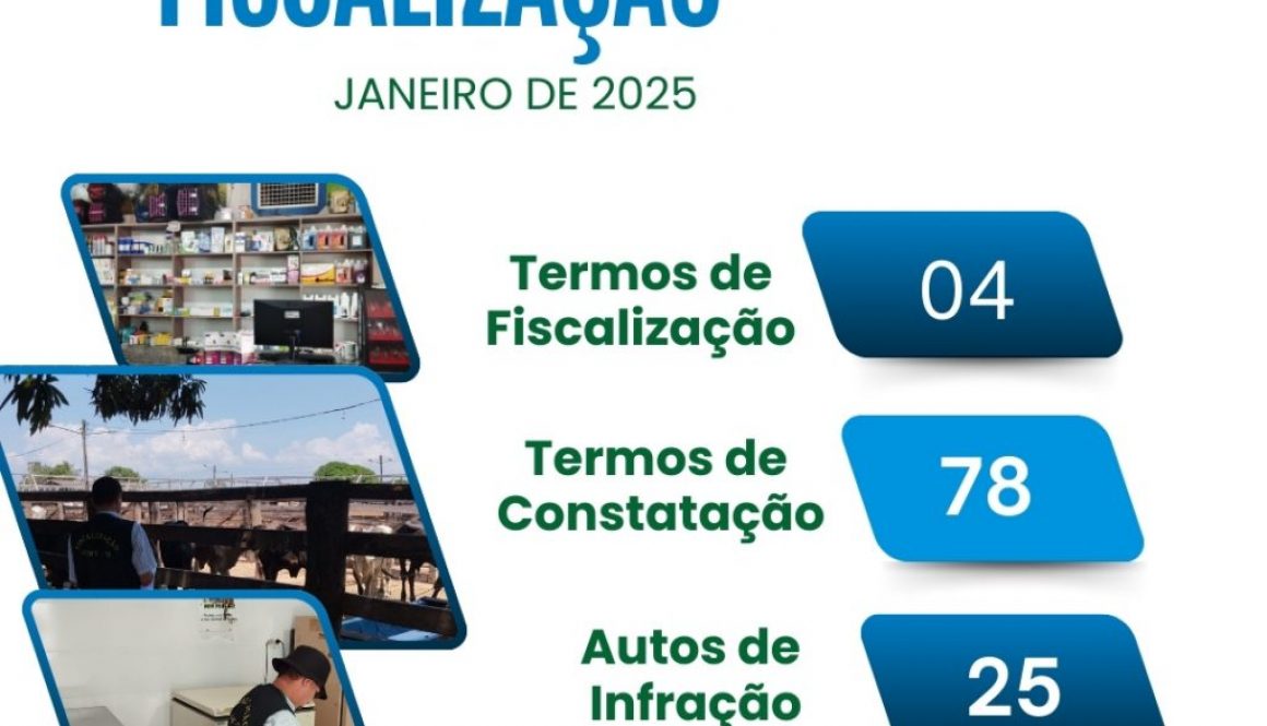 fiscalização janeiro de 2025 (1)