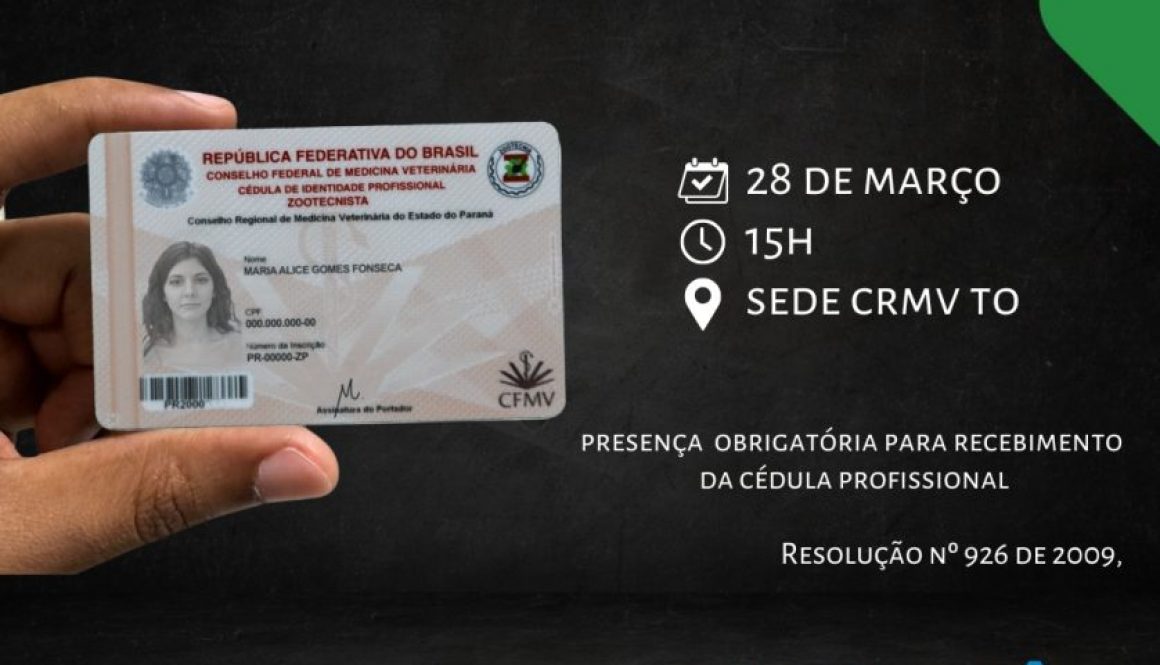 Carteira de investimento como montar a sua marketing digital post para instagram