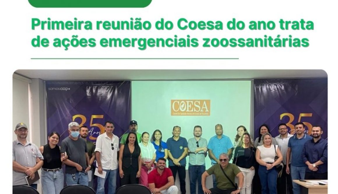 reunião coesa (1)