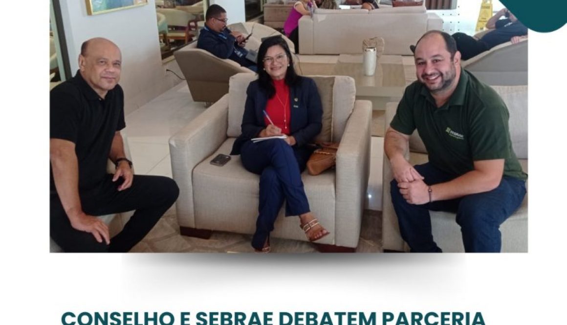 reunião vice e sebrae