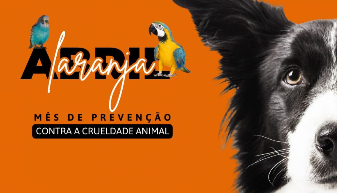 abril laranja 2025 (Post para Facebook)