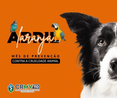 abril laranja 2025 (Post para Facebook)