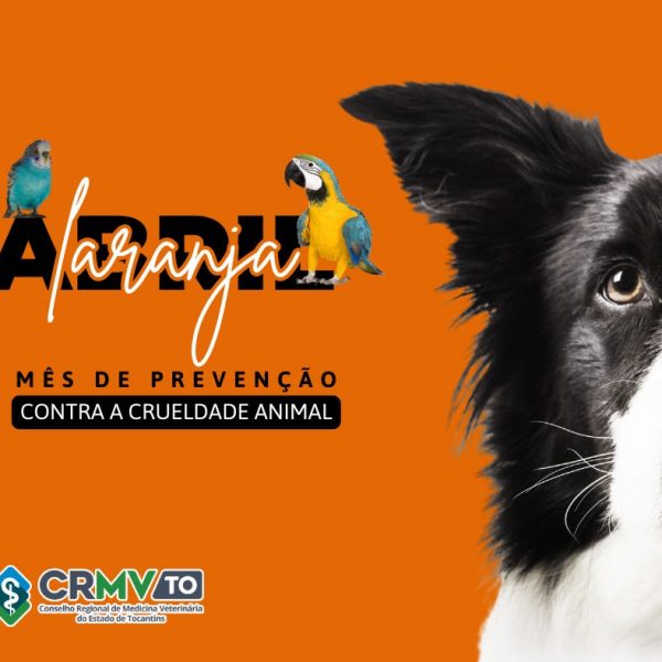 abril laranja 2025 (Post para Facebook)