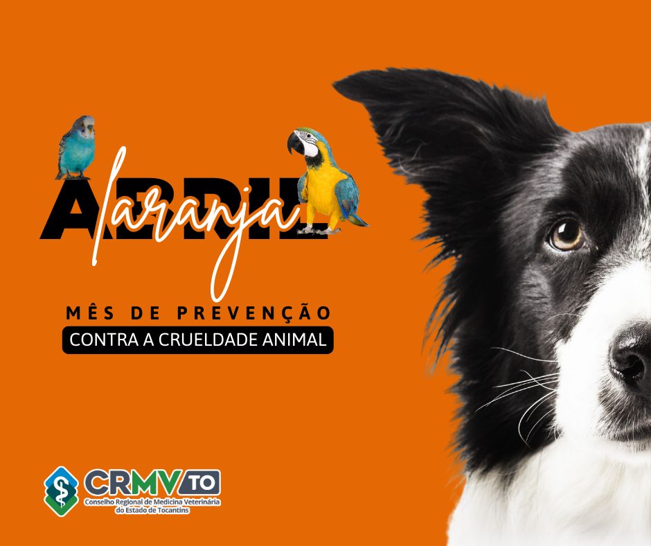 abril laranja 2025 (Post para Facebook)