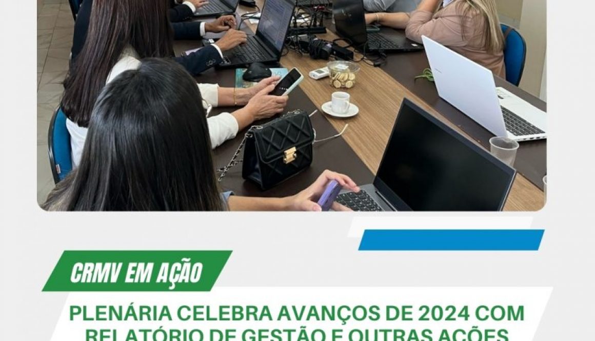 plenária celebra avanços de 2024