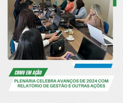 plenária celebra avanços de 2024