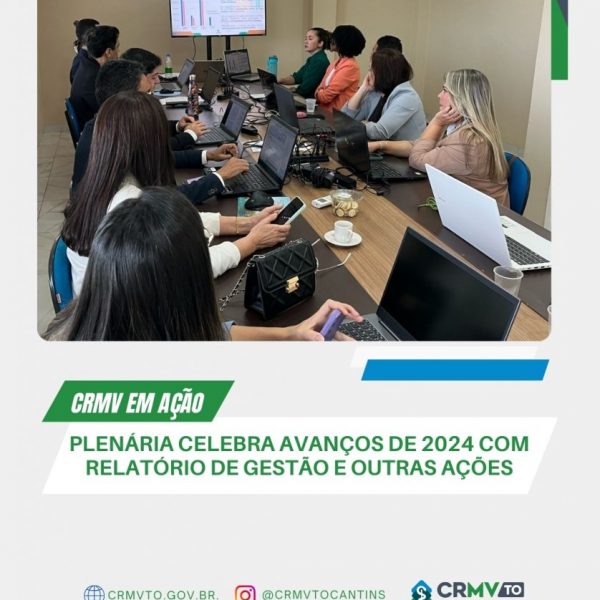 plenária celebra avanços de 2024