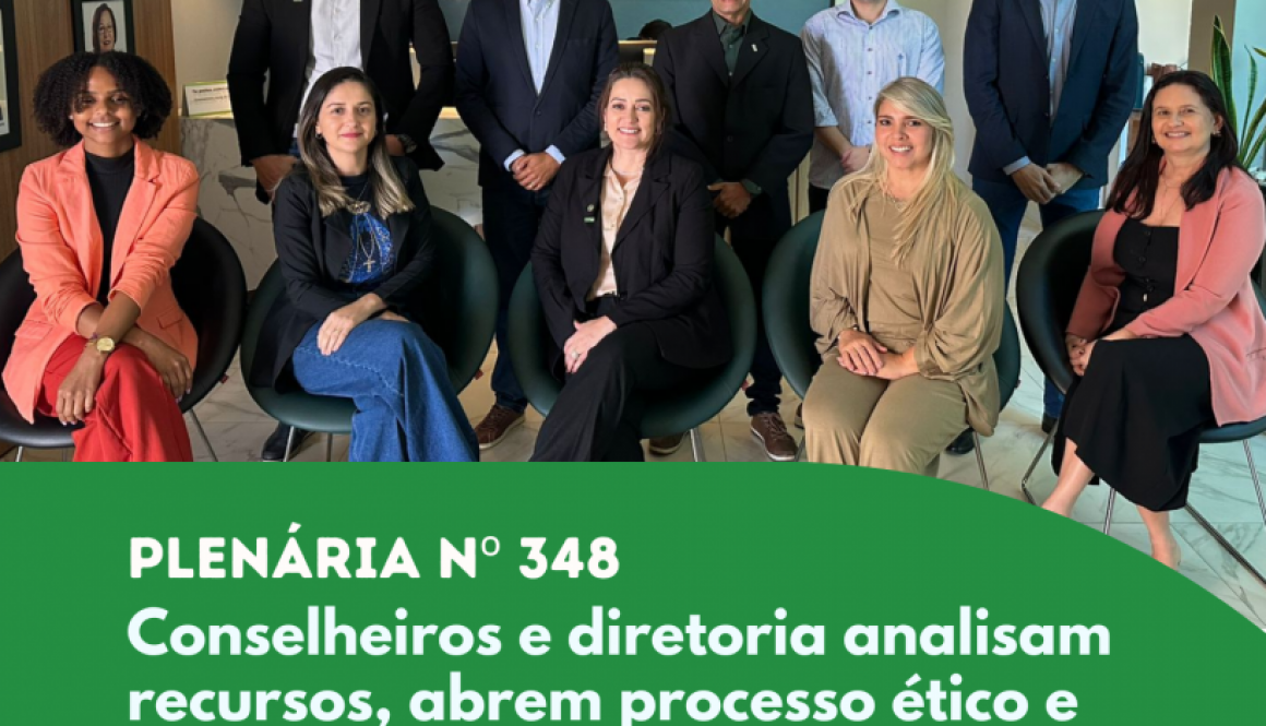 plenária 347