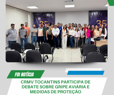 reunião coesa