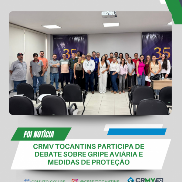reunião coesa