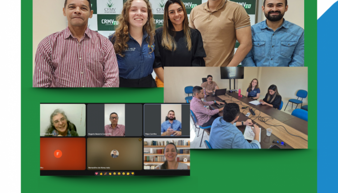 reuniões Sim Palmas e Revista Clínica Veterinária