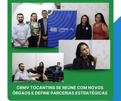 reuniões definem novas parcerias COSEMS e SEBEM