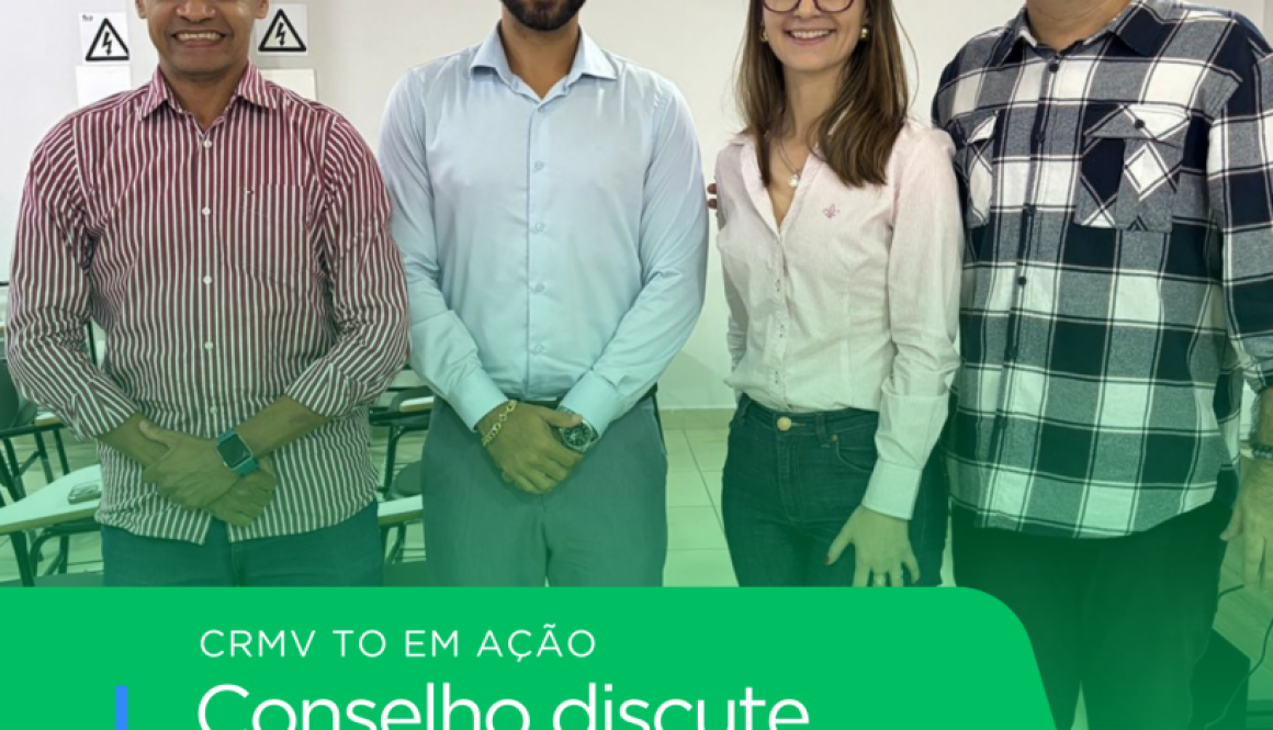 CONSELHO REUNIÃO SISE SUS