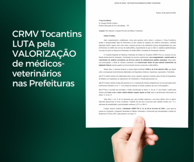 Cópia de fiscalização Dois Irmãos
