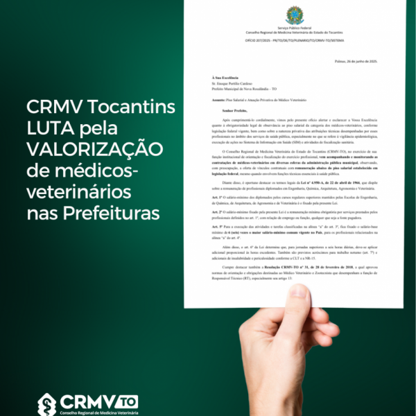 Cópia de fiscalização Dois Irmãos