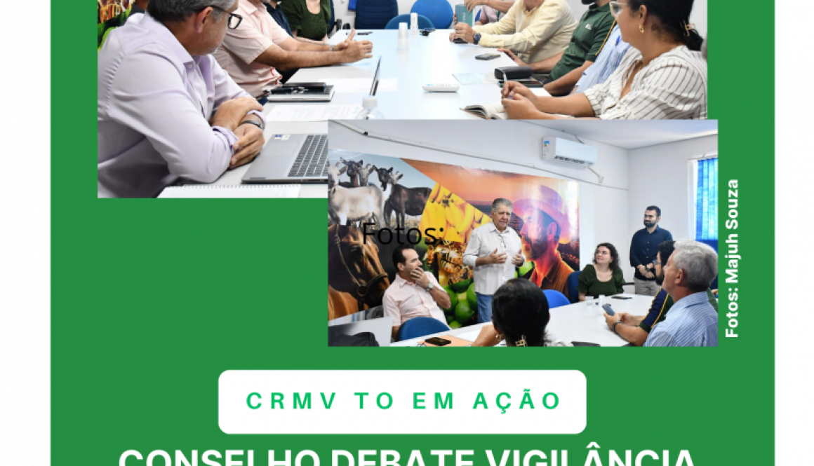 Cópia de reunião inaugural comisssões