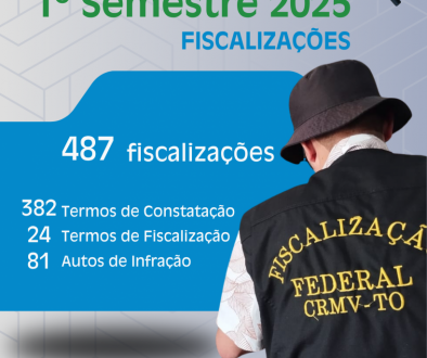 balanço fiscalização 1 semestre