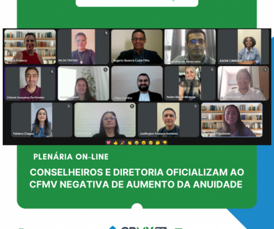 plenária julho