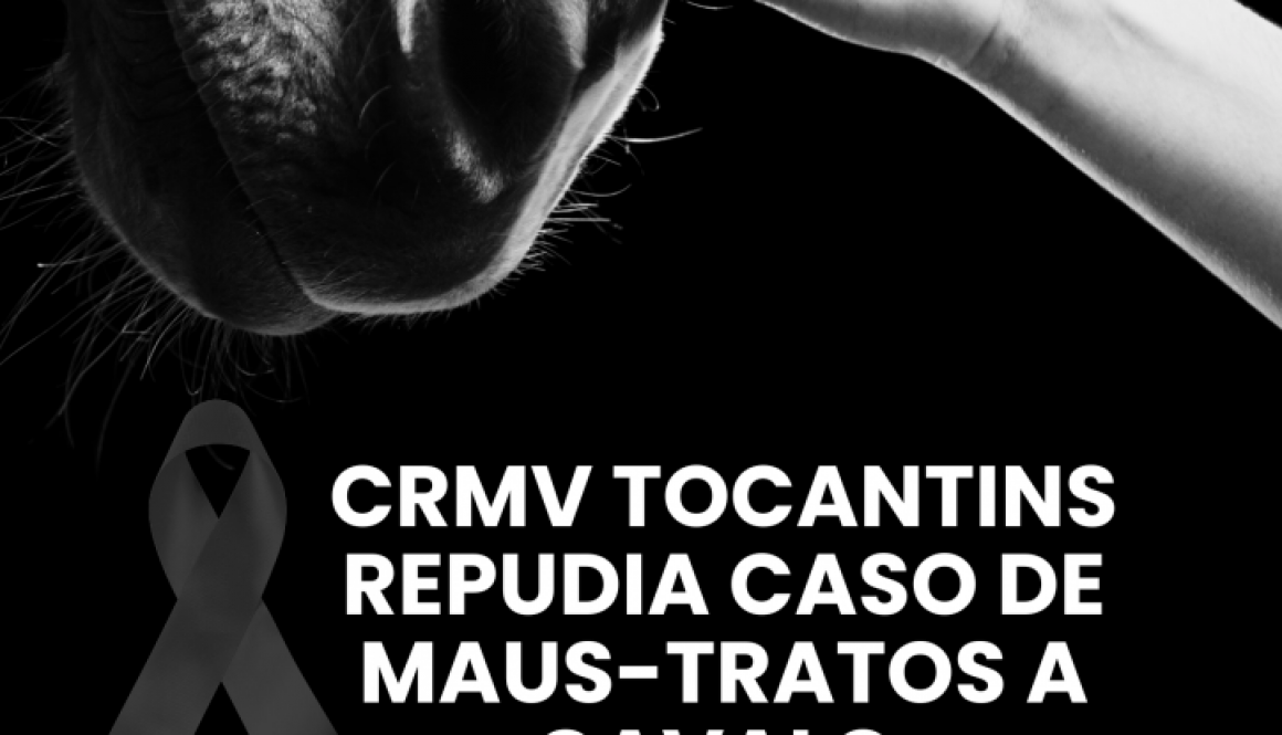 Cartaz Contra Maus Tratos de Animais Preto e Branco (1)