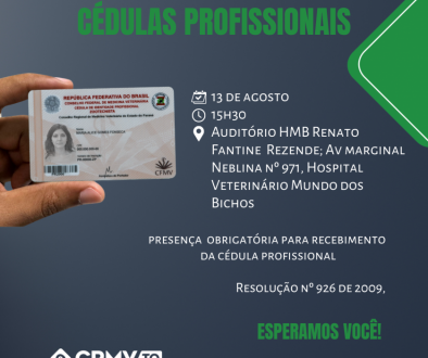 solenidade de entrega em araguaína